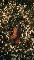 Violin Resting on a Bed of Daisies in a Sunlit Meadow During Spring. photo