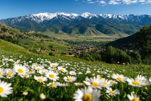 Mountain Valley Blooms With Wildflowers Under Clear Blue Skies in Spring photo