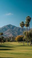 Palm Trees Line a Lush Green Golf Course Under a Clear Blue Sky Near Mountains. photo