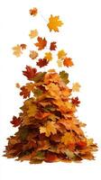 Colorful Autumn Leaves Pile up as They Fall From the Air During a Crisp Fall Day photo