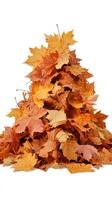 Colorful Autumn Leaves Scattered on a White Background for Seasonal Decoration. photo