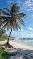 Tranquil Beach With Palm Trees and Clear Blue Skies Near the Ocean. photo