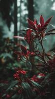 Lush Foliage With Vibrant Red Leaves in a Misty Forest at Dawn. photo