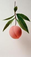 Fresh Peach Hanging From a Branch With Green Leaves in Bright Light Setting. photo