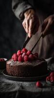 Chocolate Cake Being Decorated With Fresh Raspberries During a Dessert Preparation Session in a Kitchen. photo