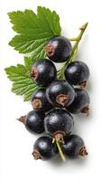 Clusters of Fresh Black Currants With Green Leaves on a White Background. photo