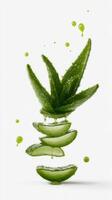Aloe Vera Plant Dripping With Golden Nectar on a White Background. photo