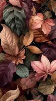Colorful Autumn Leaves Arranged in a Beautiful Natural Pattern on a Dark Background. photo