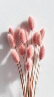 Pink Decorative Flowers Arranged Artistically on a Neutral Background for a Vibrant Display. photo