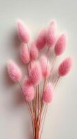 Pink Decorative Flowers Arranged Artistically on a Neutral Background for a Vibrant Display photo