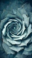 Intricate Spiral Design of a Blue Agave Plant Showcasing Natural Beauty and Symmetry photo