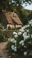 Charming Thatched Cottage Surrounded by Blooming White Hydrangeas in a Serene Garden Setting photo
