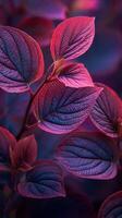 Colorful Leaves Illuminated by Soft Light in a Natural Environment During Twilight Hours photo