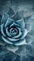 Beautiful Blue Rose With Intricate Details and Textured Background in an Artistic Style photo