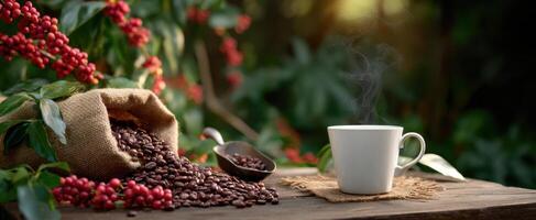 The steaming cup of coffee surrounded by fresh coffee beans and greenery. photo