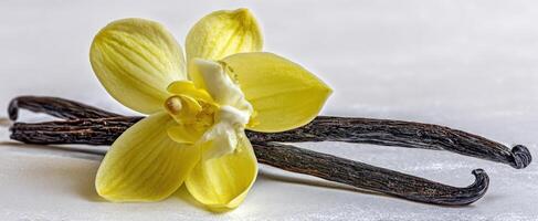 The Stunning Yellow Vanilla Flower with Pods on Elegant Background photo