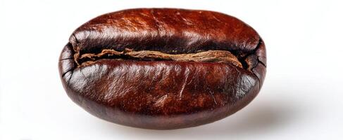 The unique coffee bean showcasing rich colors and textures in close-up photography. photo