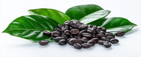 The coffee beans resting on vibrant green leaves in a fresh garden setting. photo