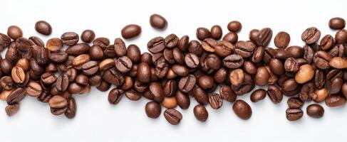 The assorted coffee beans arranged on a clean white background. photo