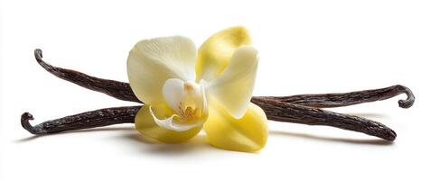 The delicate orchid flower paired with aromatic vanilla pods in a fresh arrangement. photo