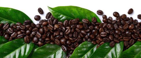 The rich blend of coffee beans resting on vibrant green leaves. photo