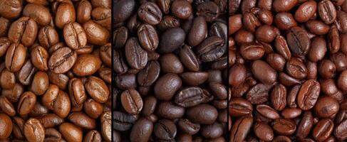 The coffee bean assortment showcasing various roasted levels and textures. photo