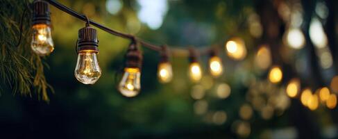 The enchanting glow of string lights in a beautiful outdoor setting. photo