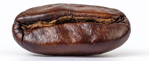 The exquisite coffee bean showcasing its rich texture and aroma. photo