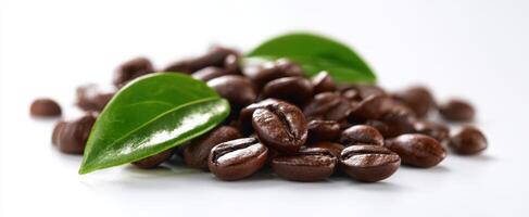 The beautiful arrangement of coffee beans with fresh green leaves background photo
