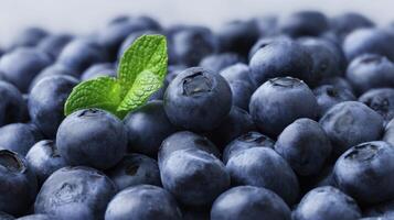 The Vibrant Blueberries with a Fresh Mint Leaf on Top photo