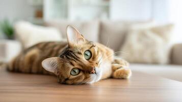The adorable cat lounging peacefully in a cozy home environment. photo