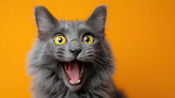 The joyful gray cat expressing excitement against a vibrant orange background. photo