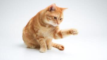 The adorable orange cat reaching out with its paw in playful curiosity. photo