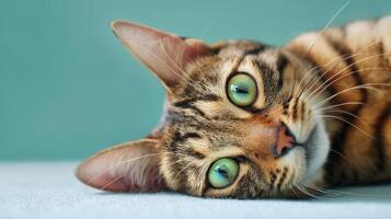 The adorable tabby cat with striking green eyes lounging comfortably indoors. photo