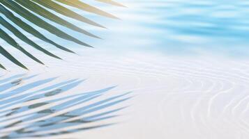 Tropical palm leaves on the beach with water photo