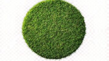 A green grass oval on a transparent background photo