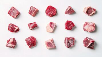 A variety of raw meat pieces arranged on a white surface photo