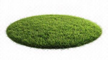 A green grass circle on a white background photo