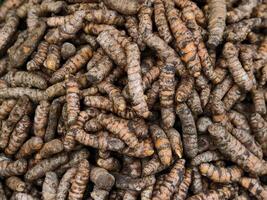 Fresh Turmeric Roots Displayed in a Traditional Market Stall photo