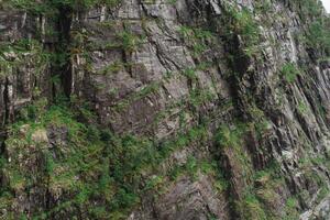 Textured vertical rock wall with green moss in Norwegian fjord near Bergen photo
