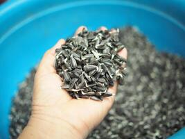 A person holding a bucket of sunflower seeds photo