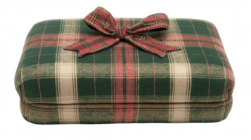 Padded Box with Plaid Pattern and Bow on transparent background png