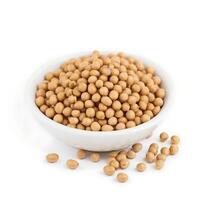 Close-up of Soybeans in a White Bowl on White Background Nutrition photo