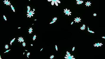abstrato 3d horizontal fundos ciclo animação Primavera horário de verão sazonal queda flores margaridas floral pétala estampado texturizado arco Iris néon cores gradiente metálico retro groovy hippie confete video