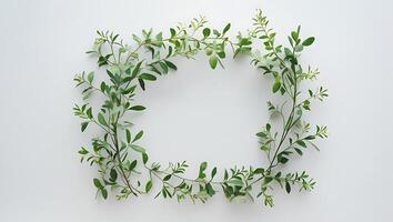 Elegant Botanical Frame of Greenery on Clean White Background Surface photo
