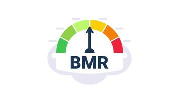 Basal metabolic rate indicator with colorful segmented scale on white and blue background video