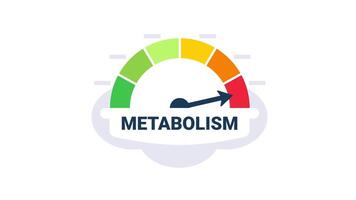 Metabolism indicator with colorful segments and arrow pointing high values video
