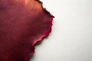 A Textured Crimson Surface with Rough Edges Creating a Visual Contrast photo