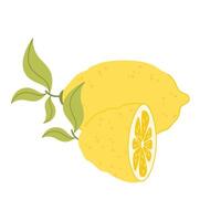 Large lemon, half a lemon. Citrus icon. Illustration in flat style. vector