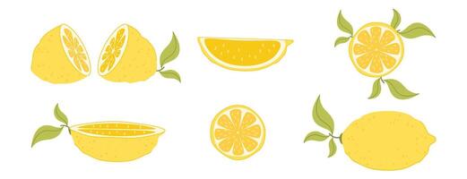 Summer, citrus set. Lemon, lemon slices. Illustration on white background. Flat style. vector